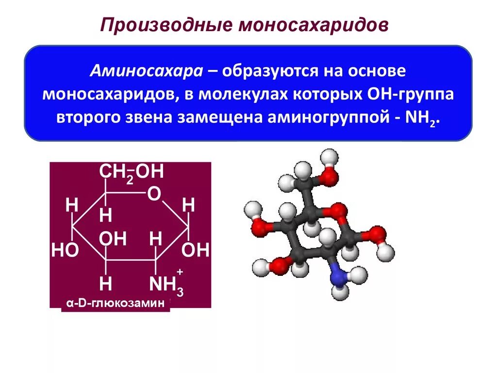Структурные формулы моносахаридов таблица. Углеводы глюкоза химия 10 класс. Моносахариды формулы. Аминирование моносахаридов. Синтез нейраминовой кислоты.