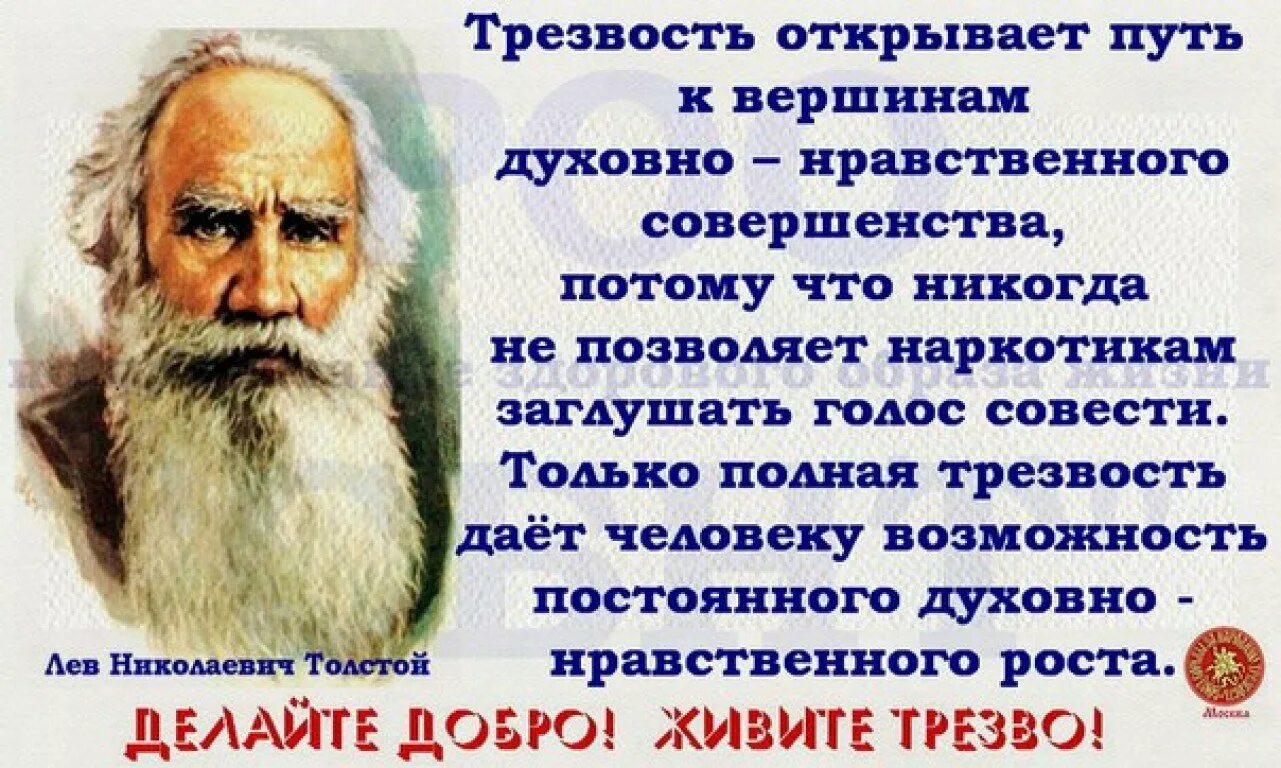 Про трезвость. Афоризмы о трезвости. Высказывания великих о непьющих людях. Цитаты о непьющих. Трезвость естественное состояние человека.