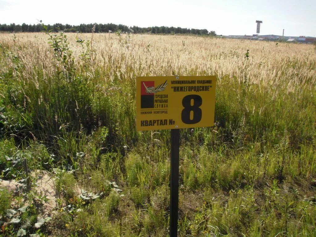 Кладбище федяково. Нижегородское кладбище нижний новгород. Нижегородское кладбище нижний новгород. Новосормовское кладбище нижний новгород. Федяково кладбище нижний новгород.