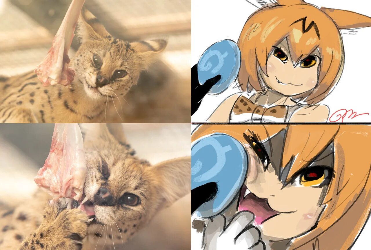 Kemono patreon posts. Kemono friends serval. kemono friends каракал.