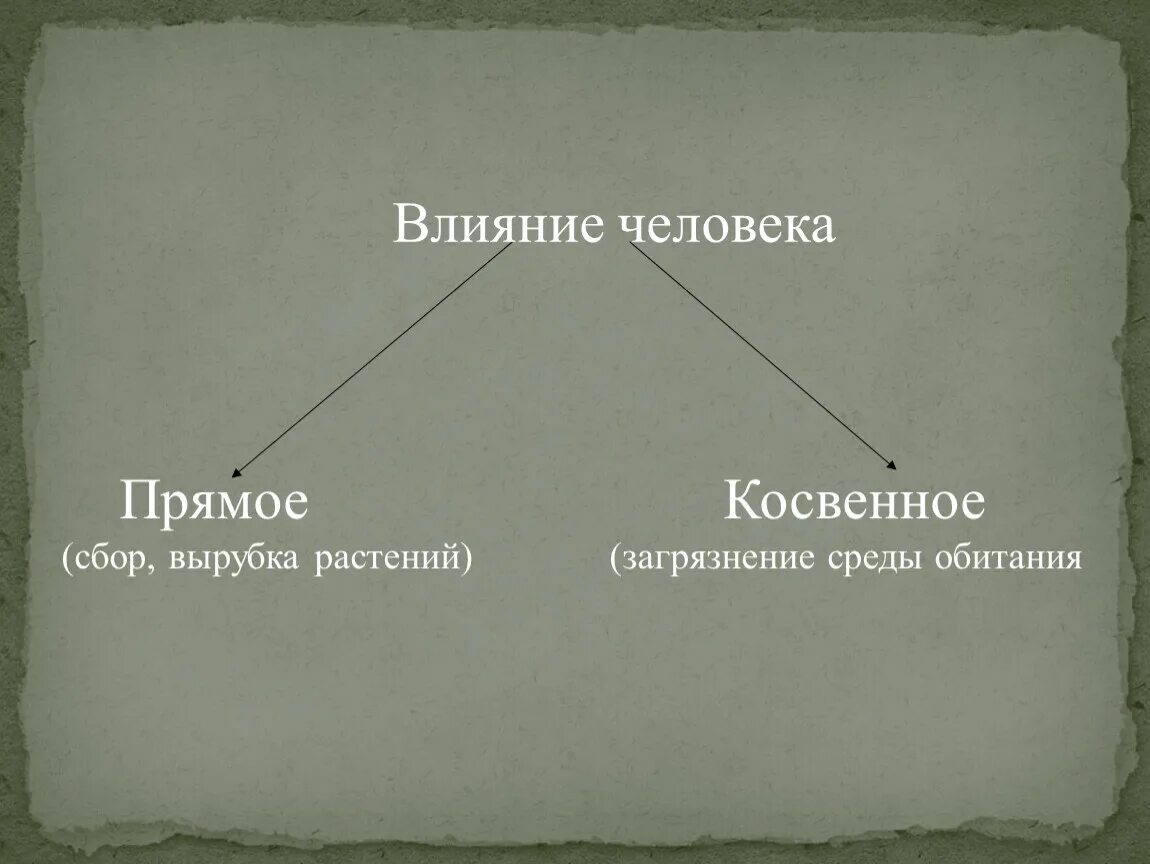 Косвенное влияние примеры. Влияние деятельности человека на растения. Влияние хозяйственной деятельности человека на растительный. Прямое и косвенное воздействие человека. Косвенное влияние на природу.