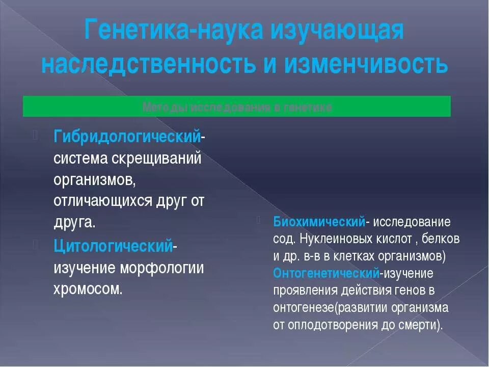 Урок генетика наука о наследственности и изменчивости. Наследственность и изменчивость. Наследственность и изменчивость организмов. Наука изучающая наследственность. Что изучает наука генетика.