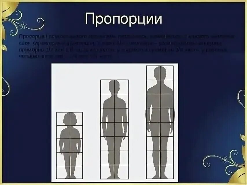 Конспект урока изображение человека. Пропорции и строение фигуры человека. урок изо пропорции и строение фигуры человека. пропорции фигуры человека изо. строение тела человека изо.