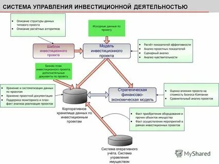 Организация управления инвестиционной деятельностью