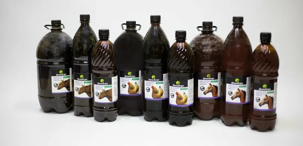 Термосиб, рф. Агро новосибирск. Агро новосибирск. Агро семенная компания новосибирск. Термосиб агро.