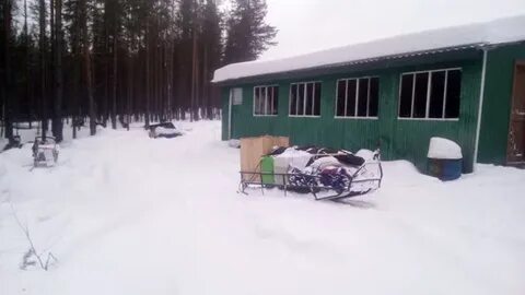 Кепино архангельской