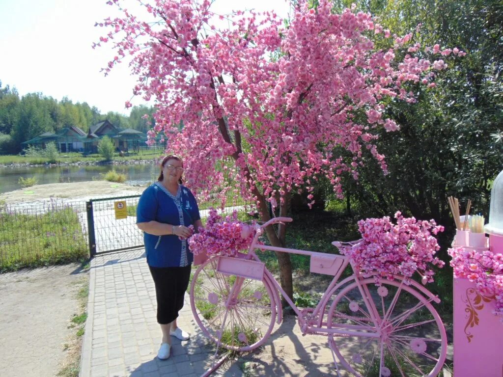 Сакура Белгород дерево. Сакура в зоопарке в Белгороде. Сакура в зоопарке. Фото сотрудников Белгородского зоопарка. Сакура белгород