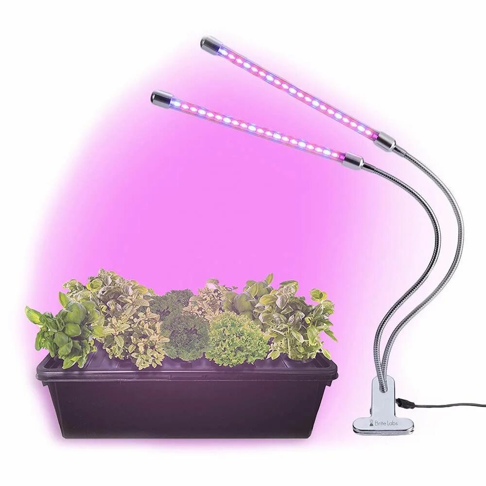 Led grow plant. Фитолампа led grow Light. Фитолампа grow Light 40 Вт. Фитолампа для цветов 20w Эра. Светодиодная лампа для растений ALIEXPRESS led grow Light.