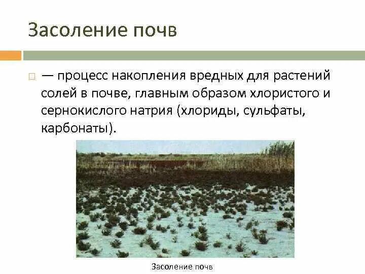 В какой зоне происходит накопление солей