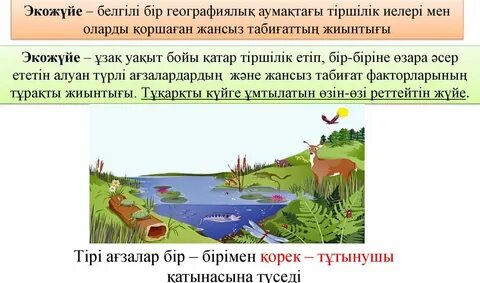 Жыныстық қатынасқа түскен перілер