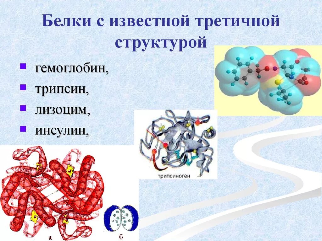 Вторичный белок примеры. Белковая молекула третичная структура. Третичная структура белка. Третичная структура белка структура белка. Третичная структура белка строение.