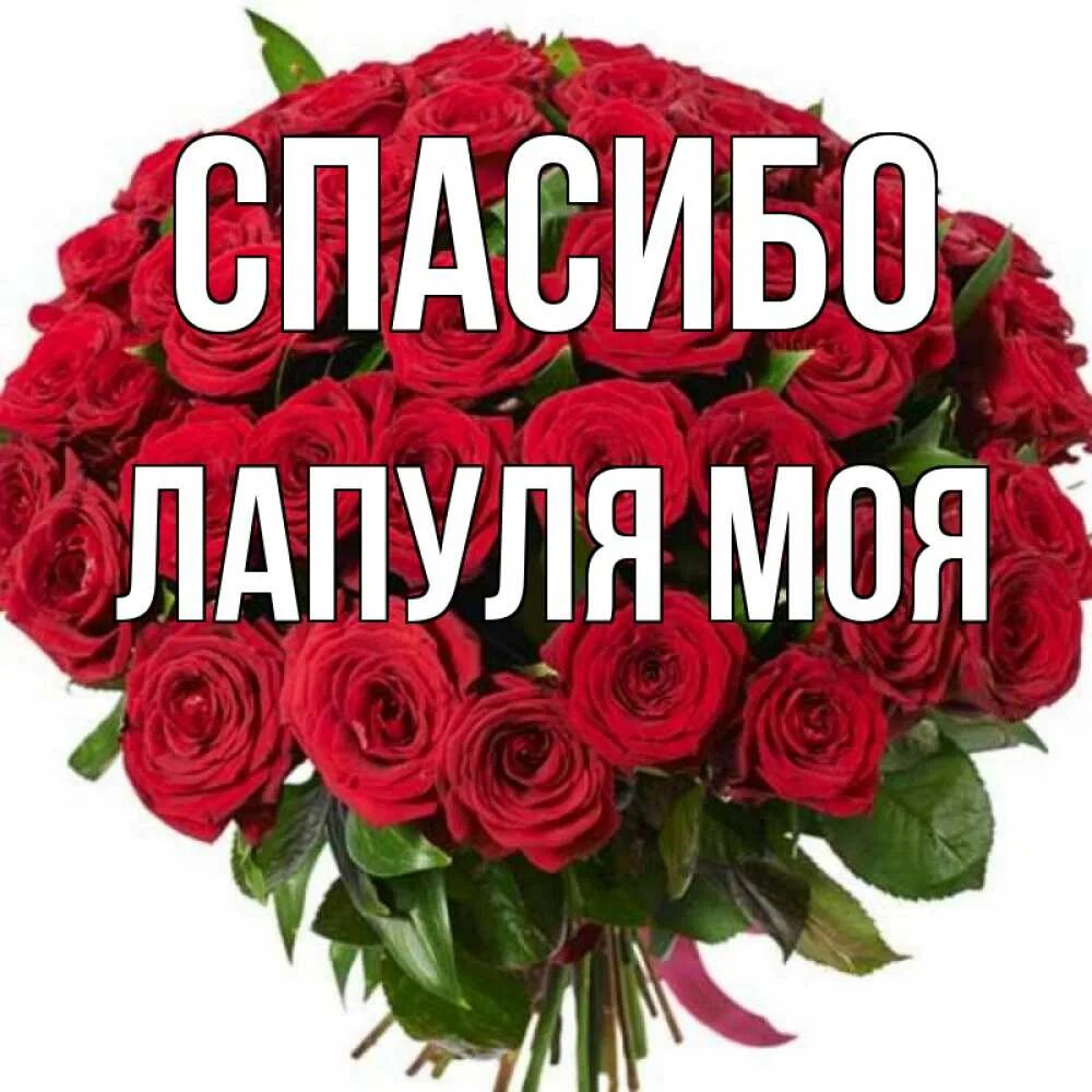 Доченька лапуля лапуля. Доченька лапуля лапуля