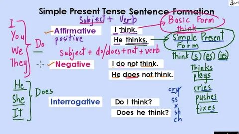 Present simple tense test