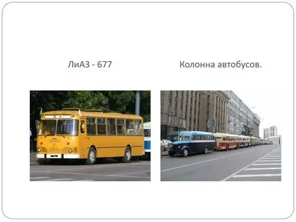 Три автобусные колонны со школьниками