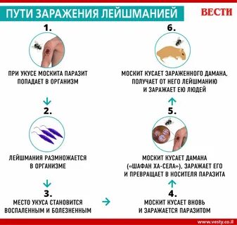 Заражение 4