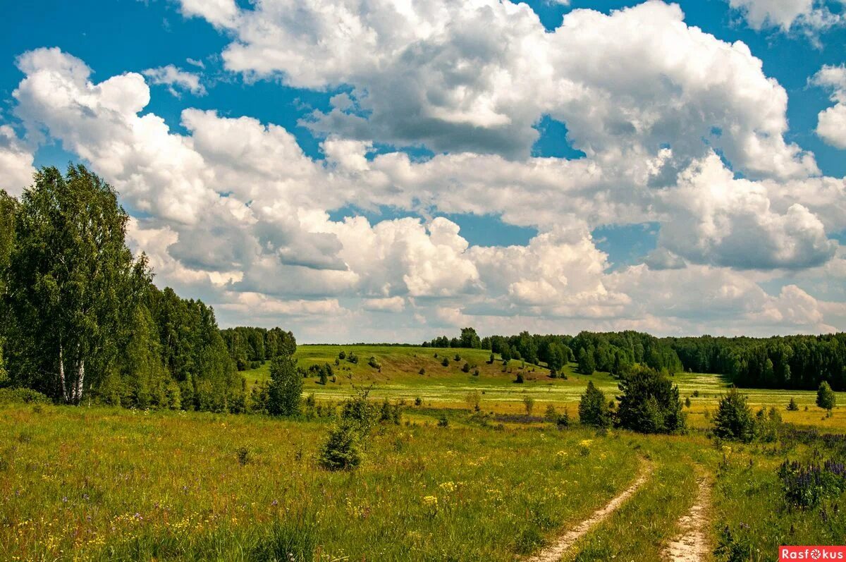 Природного родного края. Вятский край Кировская область. Вятка пейзажи Кировская область. Природа Вятки Кировской области лето. Родной край Кировская область.