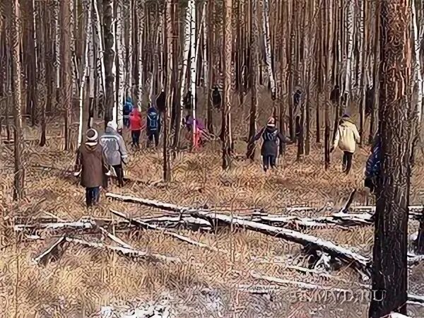 Шумский Нижнеудинский. Пос Шумский Нижнеудинского р-на Иркутской обл. Поселок Шумский Нижнеудинский район. Нижнеудинский район леса.