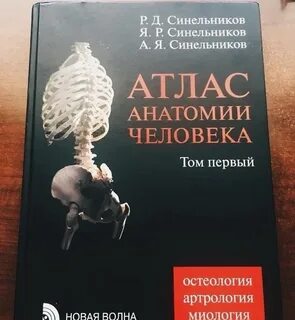 Анатомия книга синельников