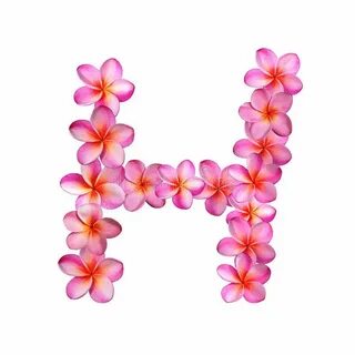 Цветы на букву н