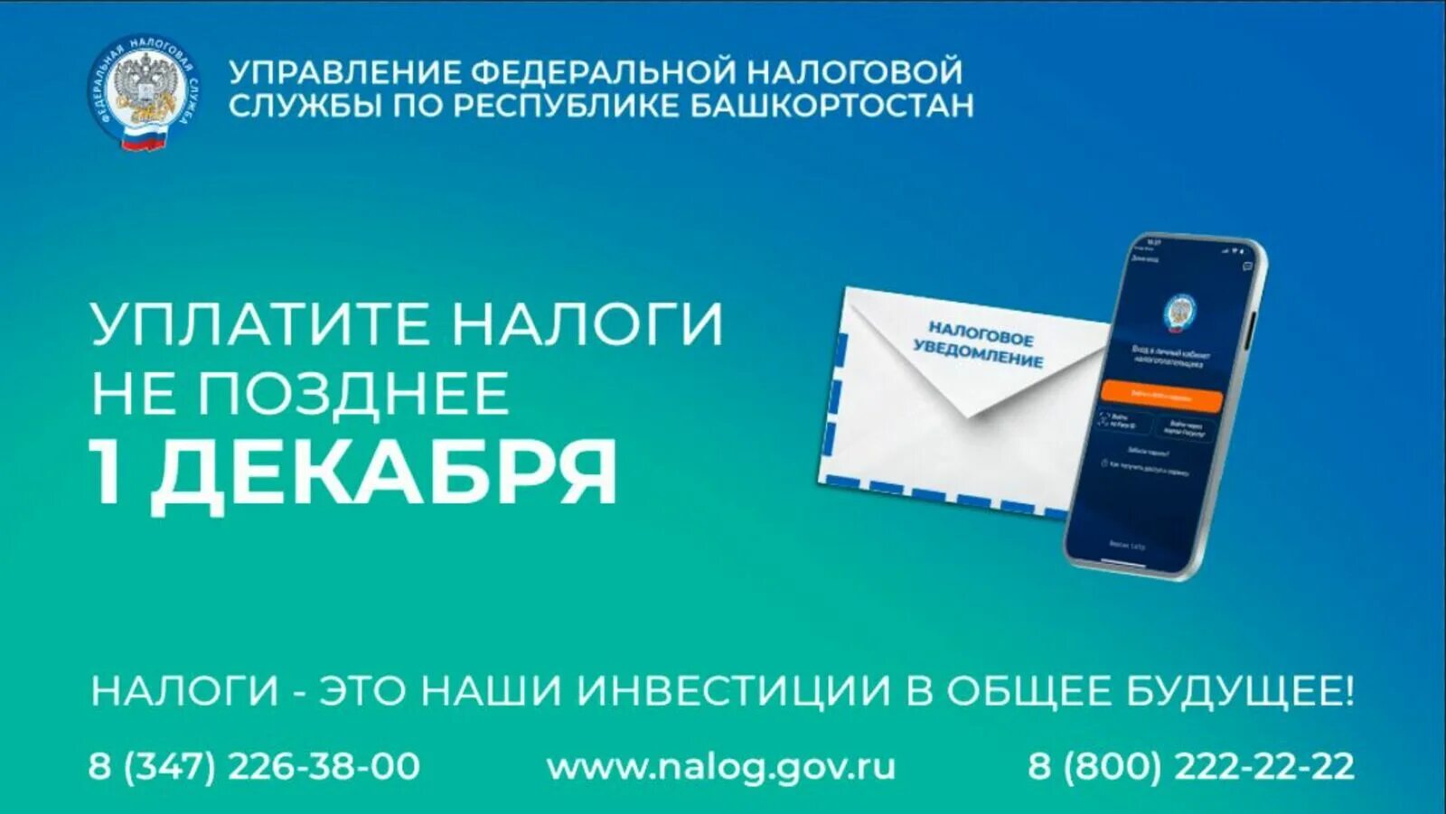 Срок уплаты налогов до 1 декабря. Заплати налоги. Оплатить налоги. Имущественные налоги физических лиц до 1 декабря.