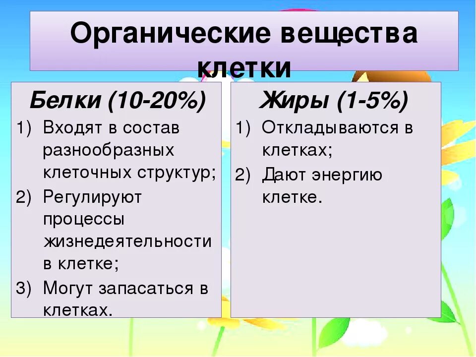 Организация вещества клетки. Органические и неорганические вещества клетки 5 класс биология. Органические вещества клетки 5 класс. Органические вещества клетки 5 класс биология. Органические и неорганические вещества растительной клетки.