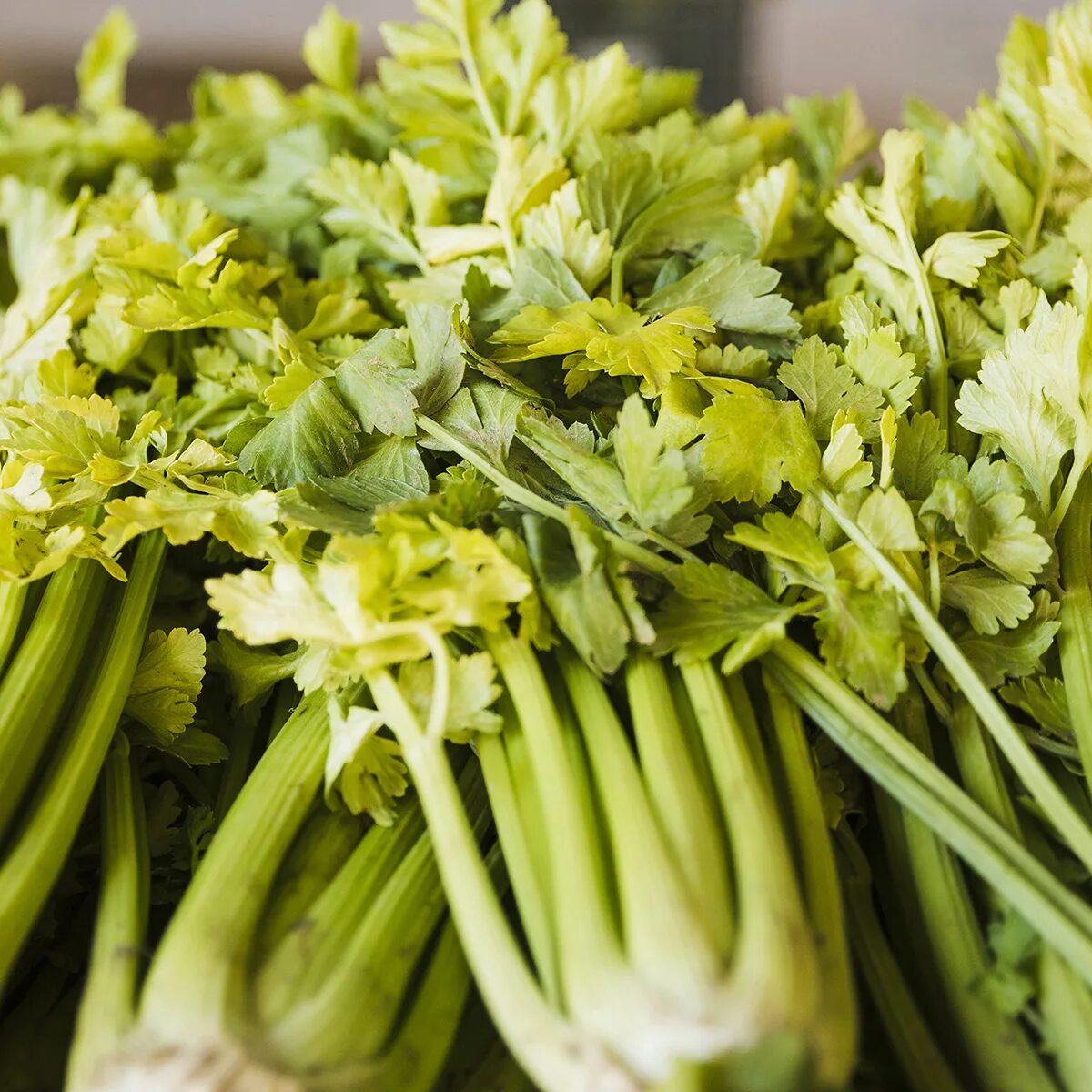 Celery scripts