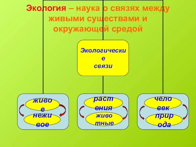 Примеры экологических связей. Экологические связи окружающий мир. Экологическая связь живое неживое. Связи между живыми существами и окружающей их средой.