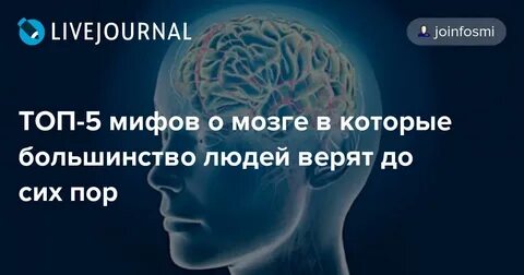 Ученые о работе мозга человека