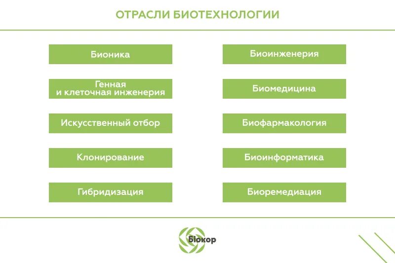 Методы направления биотехнологии. Отрасли биотехнологии. Основные направления биотехнологии. Основные направления развития биотехнологии. Достижения биотехнологии.