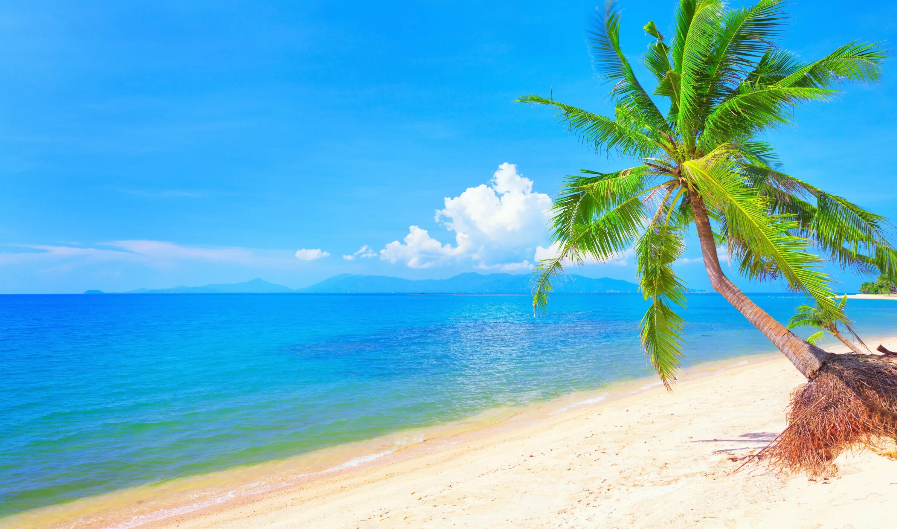Карибское море пляж Баунти. Море пляж. Красивый пляж с пальмами. Море солнце пляж.