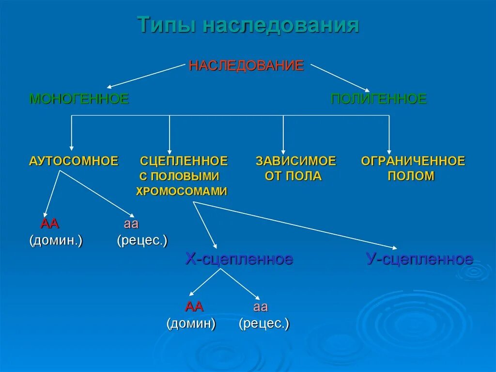 Моногенный тип наследования. Типы наследования признаков схема моногенное. типы наследования моногенное и полигенное. типы многогенного наследование. моногенное исследование.