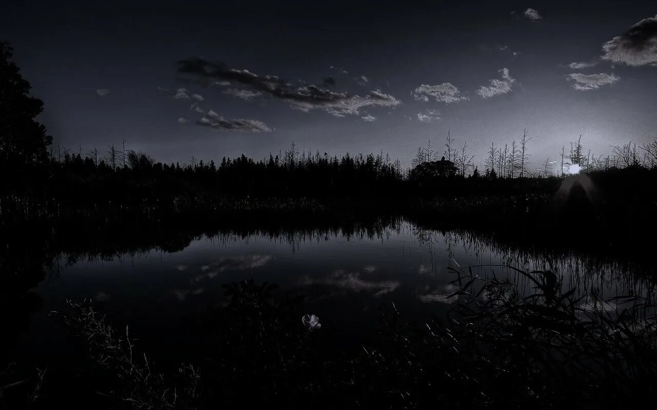 Темно ну. Темные картинки. Мрачный пейзаж. Природа ночью. Ночной лес.