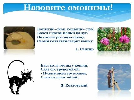 Имя омоним