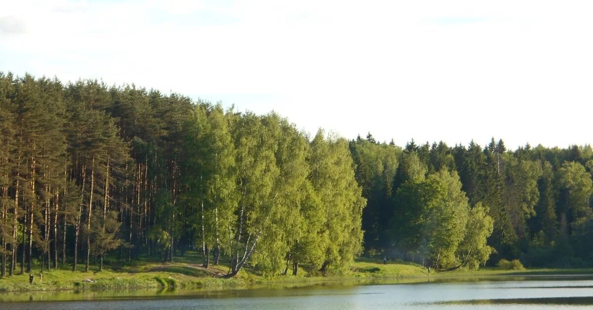 Загорское море сергиев посад озеро. Загорское море сергиев посад озеро. Загорское море сергиев посад фото. Семхоз загорское море сергиев посад. Семхоз загорское море сергиев посад.