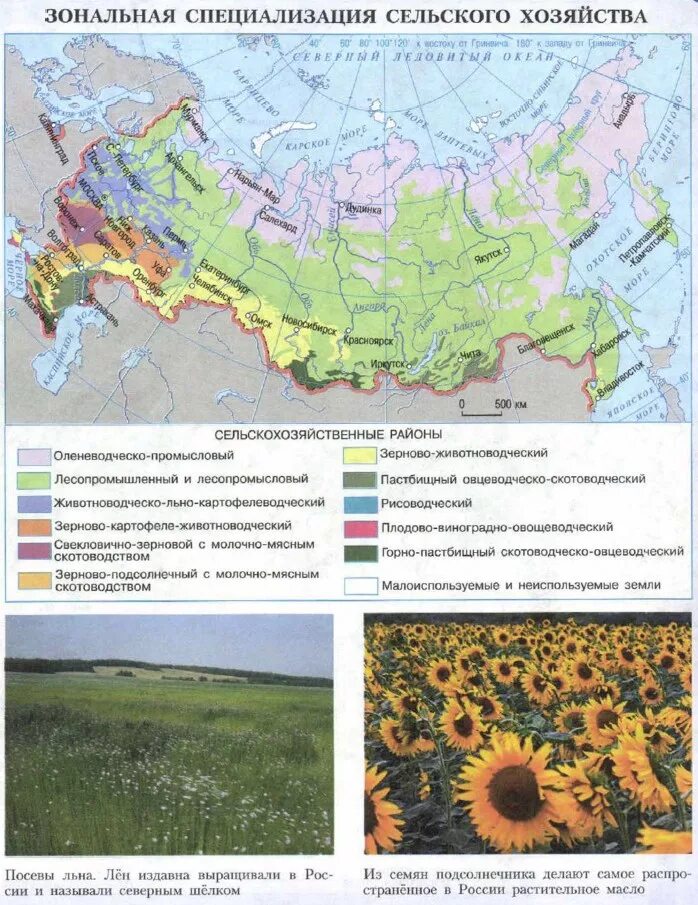 Карта сельскохозяйственных районов россии. Зональная специализация сельского сельского хозяйства. Зональная специализация сельского хозяйства России. Зональная специализация сельского хозяйства широколиственных лесов. География сельского хозяйства России карта.