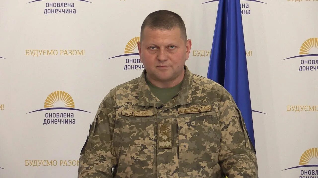 Валерием федоровичем залужным. Валерием федоровичем залужным