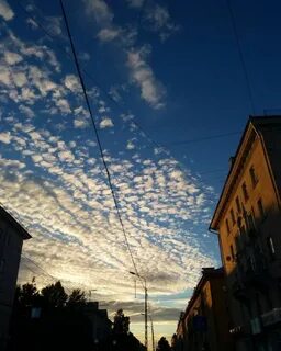 Воронеж петрозаводск