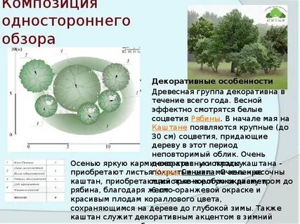 Древесные группы