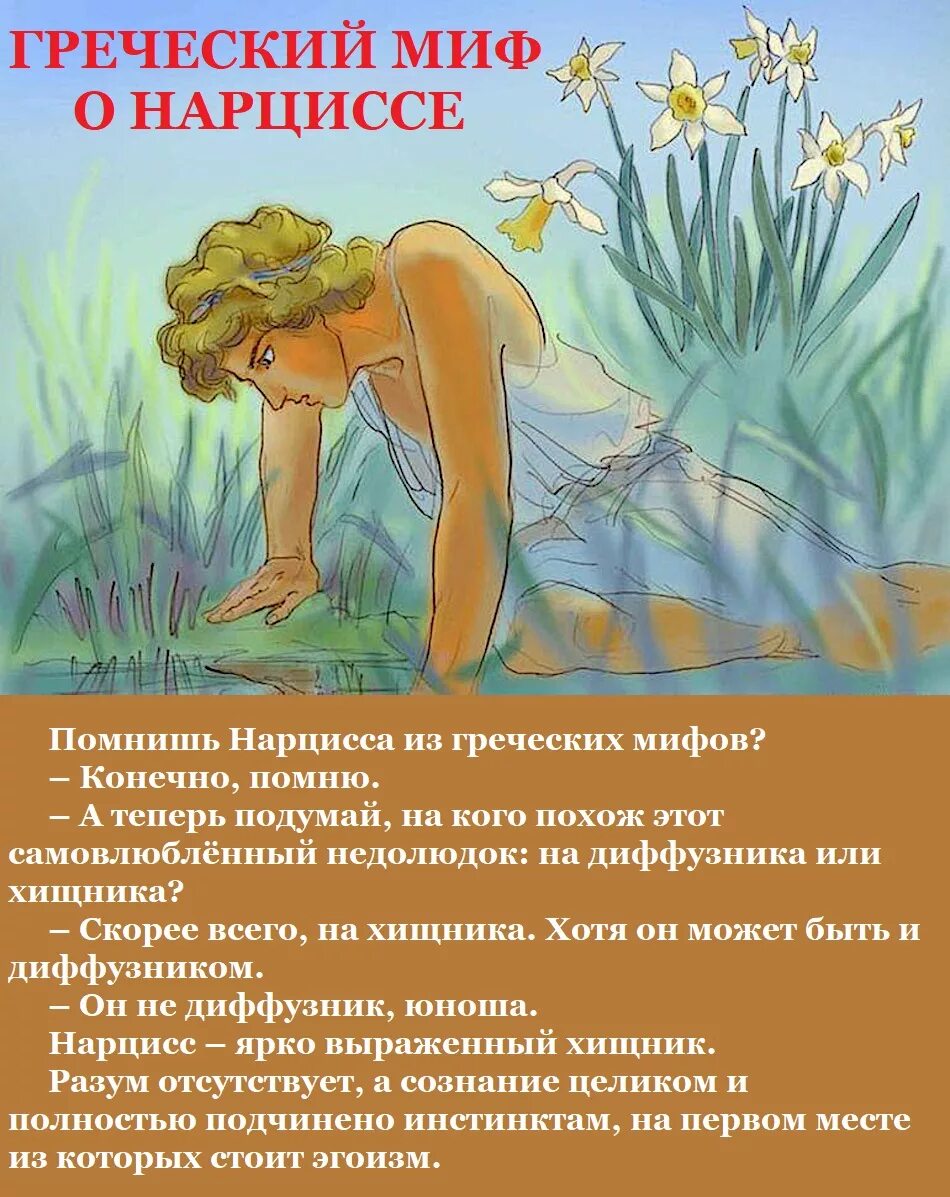 Что надо нарциссу