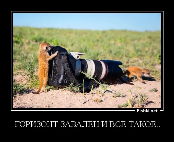 Что значит горизонт завален. Горизонт завален мем. мемы про горизонт. горизонт прикол. картинка с заваленным горизонтом.