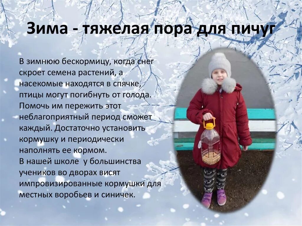 Почему зимой тяжело. Птицам трудно зимой. Зима очень тяжелое время года для птиц холодно и голодно им. Рыбы зимой для дошкольников. Теплый хлеб.