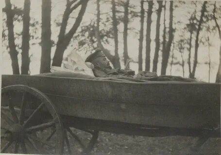 Осень 1919