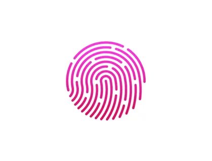 Touch fingerprint