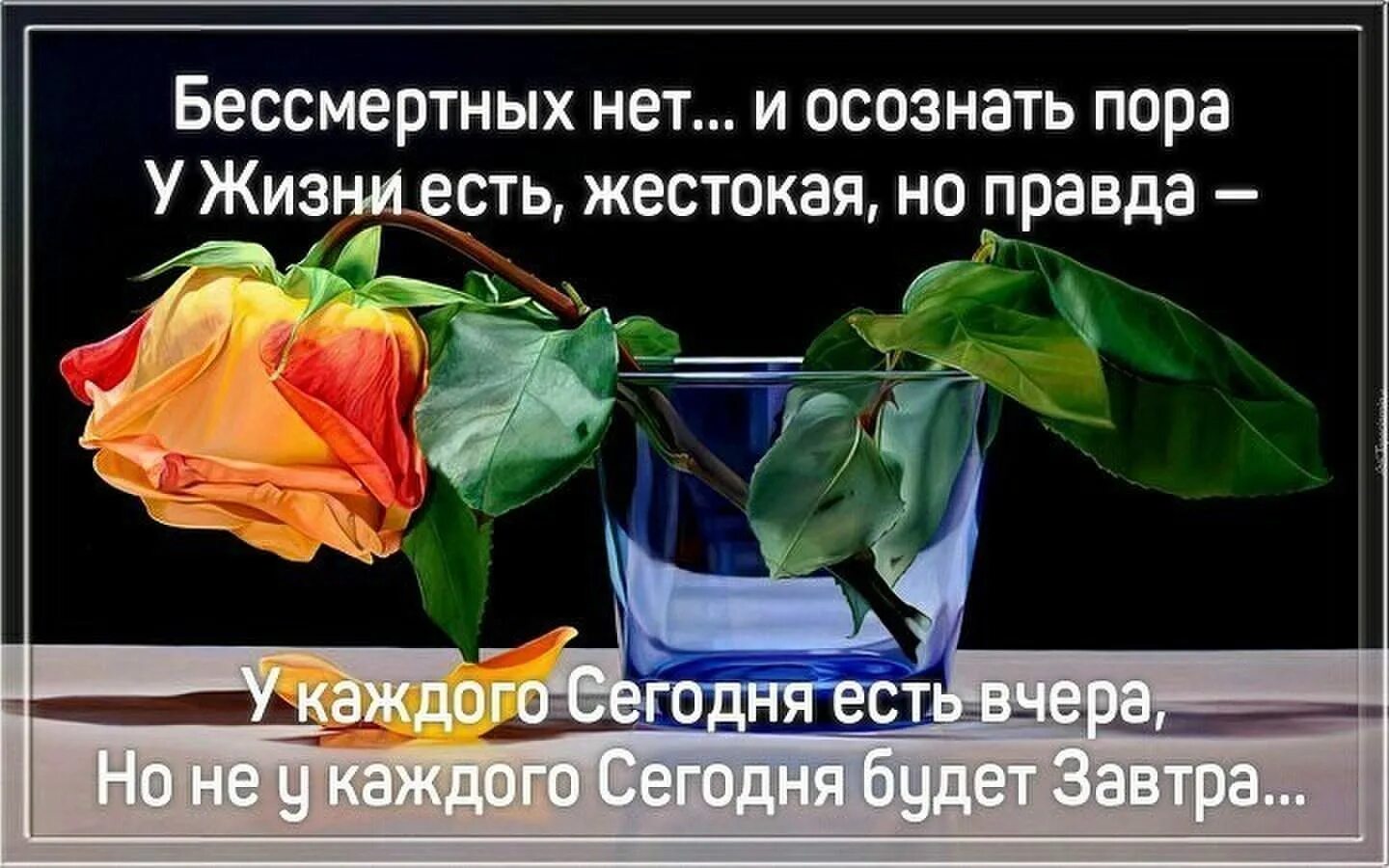 Пусть будет правда. Открытка мы не знаем что будет завтра пусть. Завтра может и не быть цитаты. Вчера цитаты. Живите сегодняшним днем стихи.