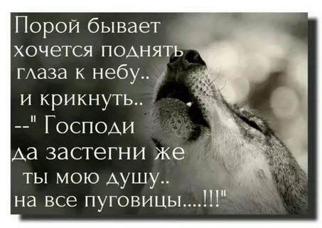 Хороший крикнуть