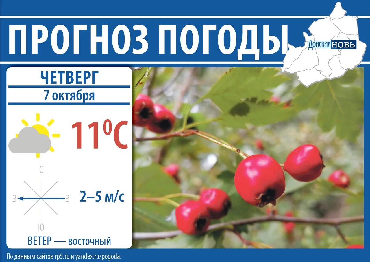 Погода в донском тульской области на неделю. Прогноз погоды в Донском. Погода Донской Тульской области. Погода в Донском Тульской. Погода на сегодня Донской.