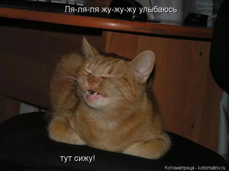 Ля ля ля жу жу жу. Ля ля ля жу жу. ля ля ля жу жу жу ля ля ля жу жу жу. ля-ля-ля ля-ля-ля ля-ля-ля жу-жу-жу. сидим тута.