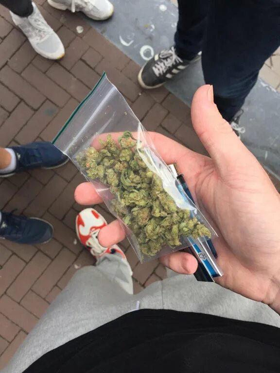Зип сканка