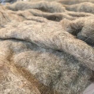 Wool шерсть