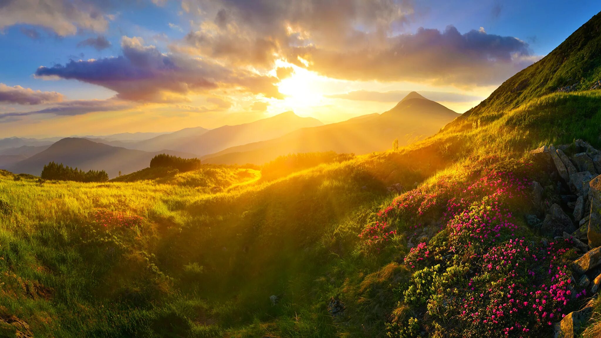 Красивый рассвет. Рассвет в горах. Природа рассвет. Пейзаж с солнцем. Nature is beautiful